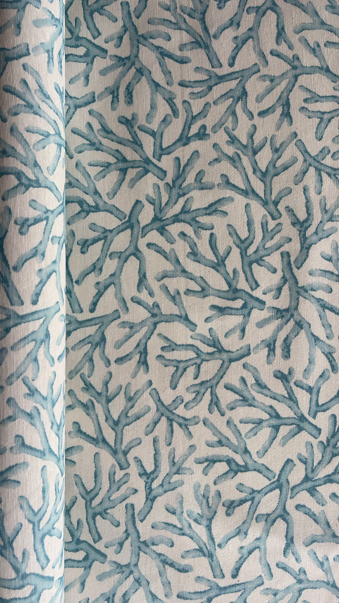 Medidas Especiales(Resinadas) - Algas Celeste